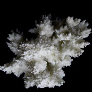 Kalcyt_Uzbekistan_47